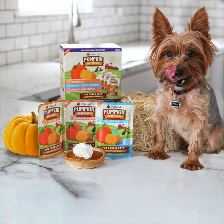 Weruva Pumpkin Patch Up!, Pumpkin Pumpkin, What's Your Function? Variety Pack for Dogs & Cats, 1.05oz Pouch (Pack of 12) 1.05 Ounce (Pack of 12)