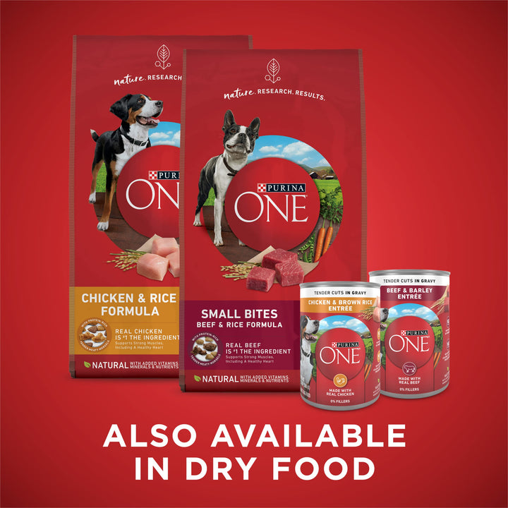 Purina ONE Tender Cuts in Gravy Chicken and Brown Rice, and Beef and Barley Entrees Wet Dog Food Variety Pack - (2 Packs of 6) 13 oz. Cans Beef,Chicken 2.44 Pound (Pack of 2)