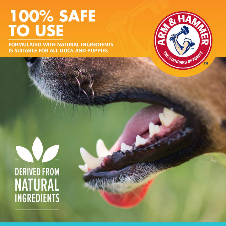 Arm & Hammer for Pets Dental Toothpaste for Dogs | No More Doggie Breath | Safe for All Dogs and Puppies | Chicken Flavor Dog Toothpaste - 3 Pack for Long-Lasting Use Fresh Breath - Chicken 2.5 Ounce (Pack of 3)