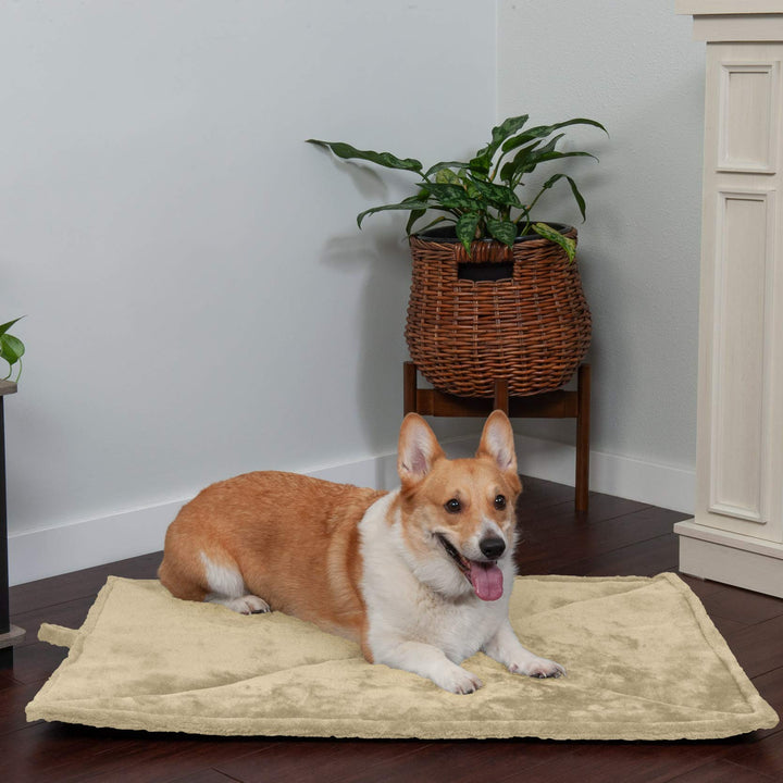 Furhaven ThermaNAP Self-Warming Cat Bed for Indoor Cats & Small Dogs, Washable & Reflects Body Heat - Quilted Faux Fur Reflective Bed Mat - Cream, Small