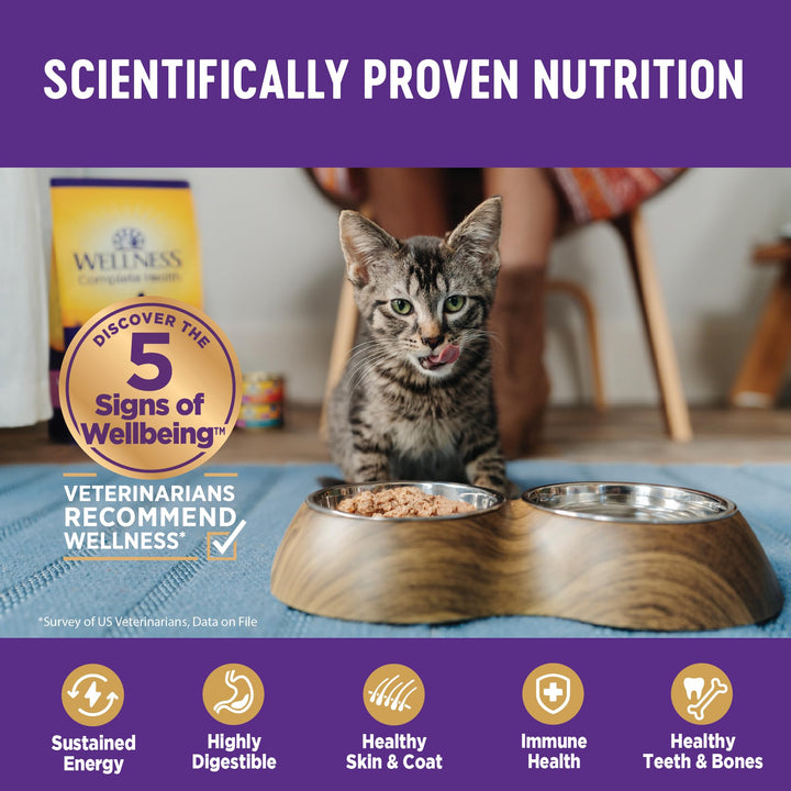 Wellness Complete Health Grain-Free Wet Canned Cat Food, Natural Ingredients, Made with Real Meat, All Breeds, Smooth Pate (Turkey & Salmon, 12.5-Ounce Can, Pack of 12) Turkey 12.5 Ounce (Pack of 12)