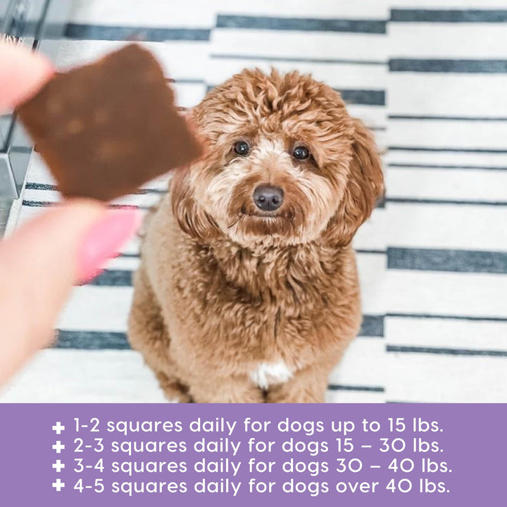 Ark Naturals Sea Mobility Joint Rescue Dog Treats, Venison Flavor, Joint Supplement with Glucosamine & Chondroitin, 1 Pack 9 Ounce (Pack of 1)