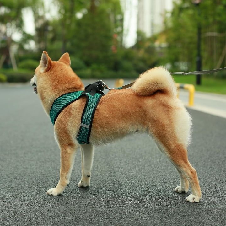 Voyager Step-in Air Dog Harness - All Weather Mesh Step in Vest Harness for Small and Medium Dogs by Best Pet Supplies - Turquoise (2-Tone), XS Harness (Turquoise 2-Tone) XS (Chest: 13 - 14.5")