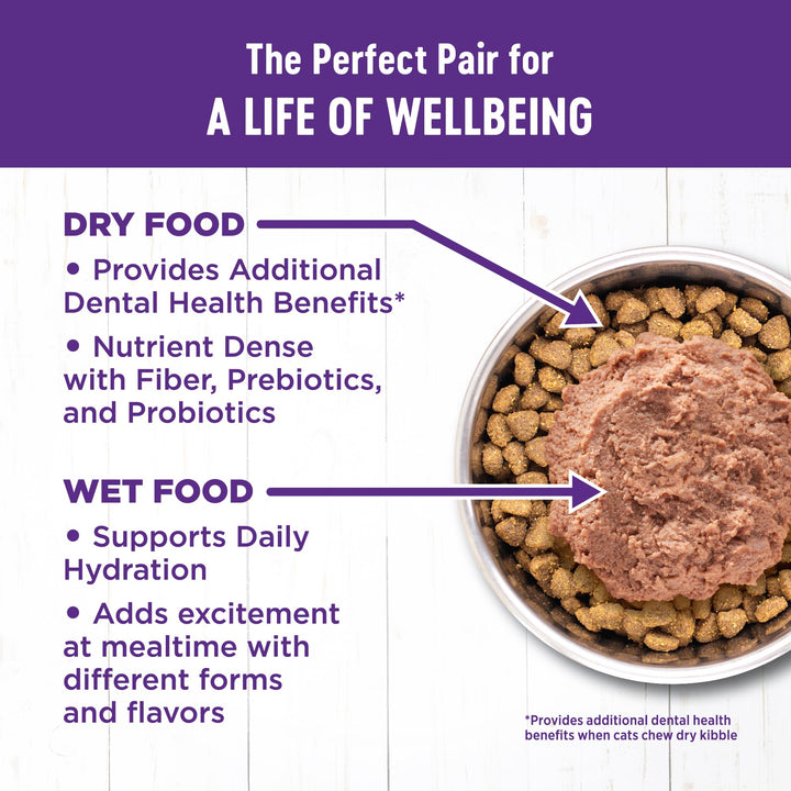 Wellness Complete Health Grain-Free Wet Canned Kitten Food, Natural Ingredients, Made with Real Meat, All Breeds, Smooth Pate (Kitten, Whitefish, 5.5-Ounce Can, Pack of 24) Whitefish & Tuna 5.5 Ounce (Pack of 24)