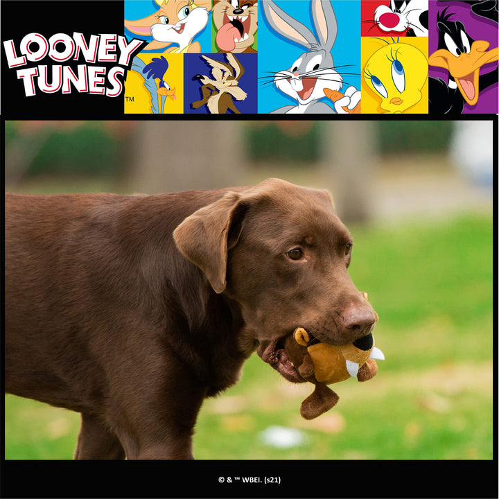 Looney Tunes for Pets Tasmanian Devil Taz Big Head Plush Dog Toy, Stuffed Animal for Dogs | 12-Inch Jumbo Dog Toy for All Dogs | Officially Licensed Dog Toy from Warner Bros Tasmanian Devil Plush 12 Inch