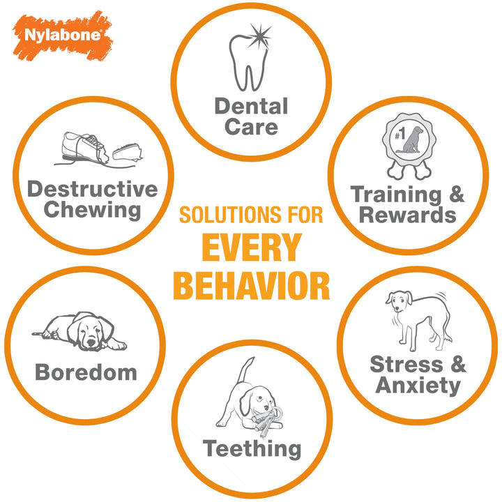 Nylabone PRO Action Dental Power Chew Durable Dog Toy Large - Up to 50 lbs. Large up to 50 lbs.