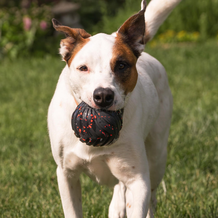 Chew King,Dog 3 Inch Supreme Rubber Balls (4-Pack)for Large Breeds Supreme Yellow Fetch Ball 3" / 4 PK