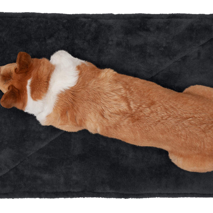 Furhaven ThermaNAP Self-Warming Cat Bed for Indoor Cats & Small Dogs, Washable & Reflects Body Heat - Quilted Faux Fur Reflective Bed Mat - Black, Small