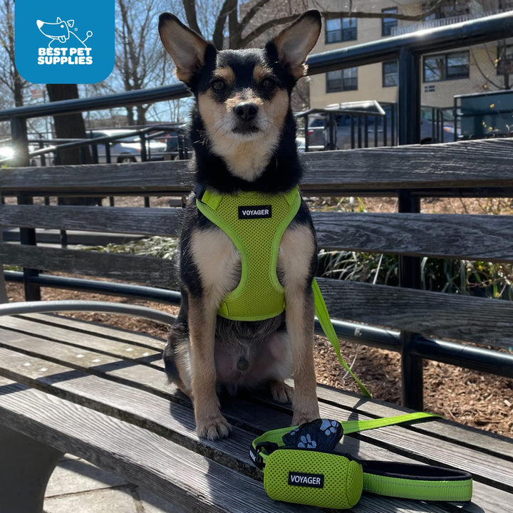 Voyager Step-in Lock Dog Harness w Reflective Dog Leash Combo Set with Neoprene Handle 5ft - Supports Small, Medium and Large Breed Puppies/Cats by Best Pet Supplies - Turquoise/Black Trim, S Harness Leash Set (Turquoise/Black Trim) S (Chest: 15 - 18")
