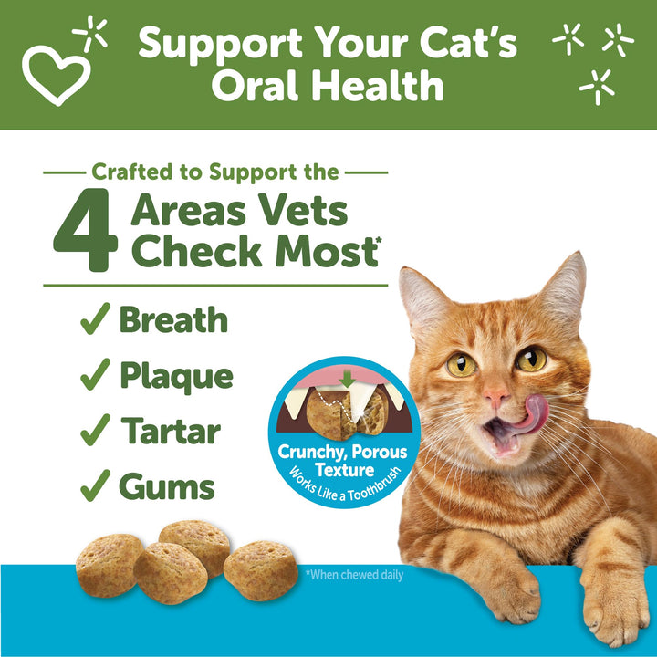 Whimzees Wellness Natural Cat Dental Treats, Chicken & Salmon Flavor, 2 Ounce 2 Ounce (Pack of 1)