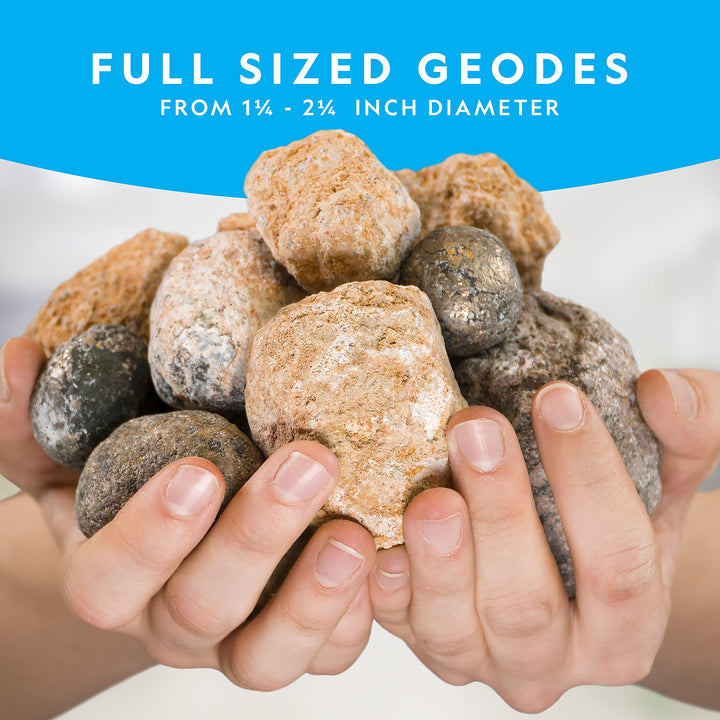 NATIONAL GEOGRAPHIC Break Open 4 Geodes Science Kit – Includes Goggles and Display Stand - STEM Science Gift for Boys and Girls, Break Your Own Geodes with Crystals ( Exclusive) 4 Geodes Kit