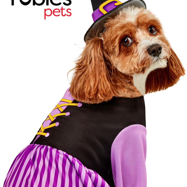 Rubies Witch Fun and Cute Pet Costume Dress and Hat for Themed Party and Halloween, Small As Shown