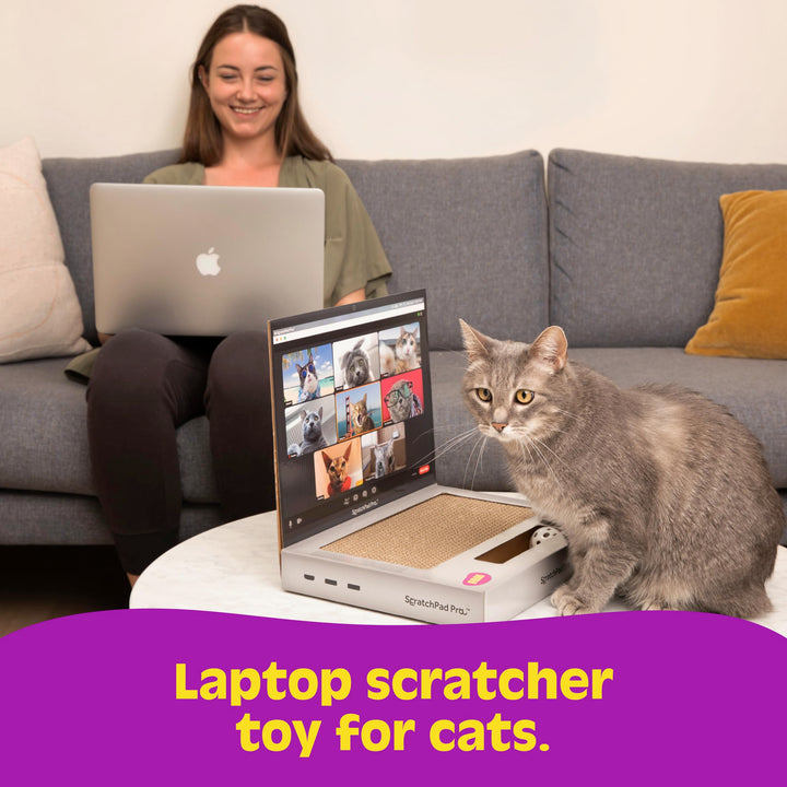 ScratchPad Pro - Laptop Scratcher Cat Toy - Unique Cat Toy 3-in-1 with Stickers