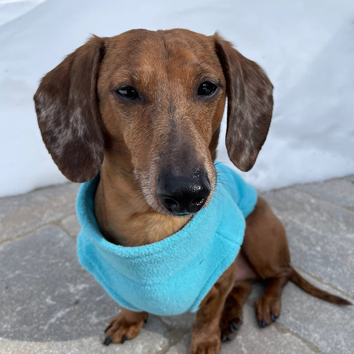 Gooby Zip Up Fleece Dog Sweater - Turquoise, X-Small - Warm Pullover Fleece Step-in Dog Jacket with Dual D Ring Leash - Winter Small Dog Sweater - Dog Clothes for Small Dogs Boy and Medium Dogs X-Small chest (~11")