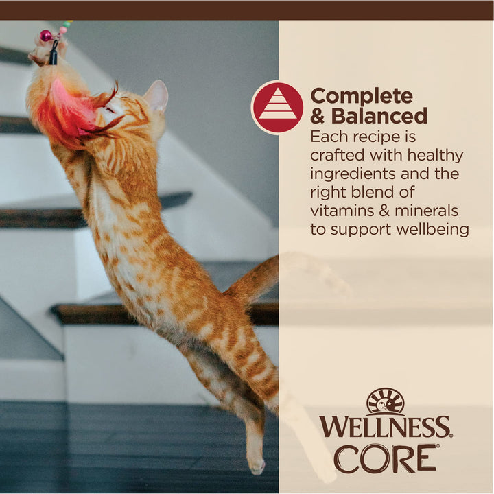 Wellness CORE Tiny Tasters Wet Cat Food, Complete & Balanced Natural Pet Food, Made with Real Meat, 1.75-Ounce Pouch, 12 Pack (Adult Cat, Minced Chicken & Beef in Gravy) 1.75 Ounce (Pack of 12)