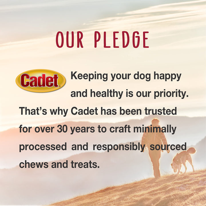 Cadet Bully Hide Sticks for Dogs - All-Natural Bully Stick & Beef Hide Dog Chews - Long Lasting Bully Sticks Alternative Made with 2 Ingredients - Dog Chews for Aggressive Chewers, Large (7 Count) 7 Count