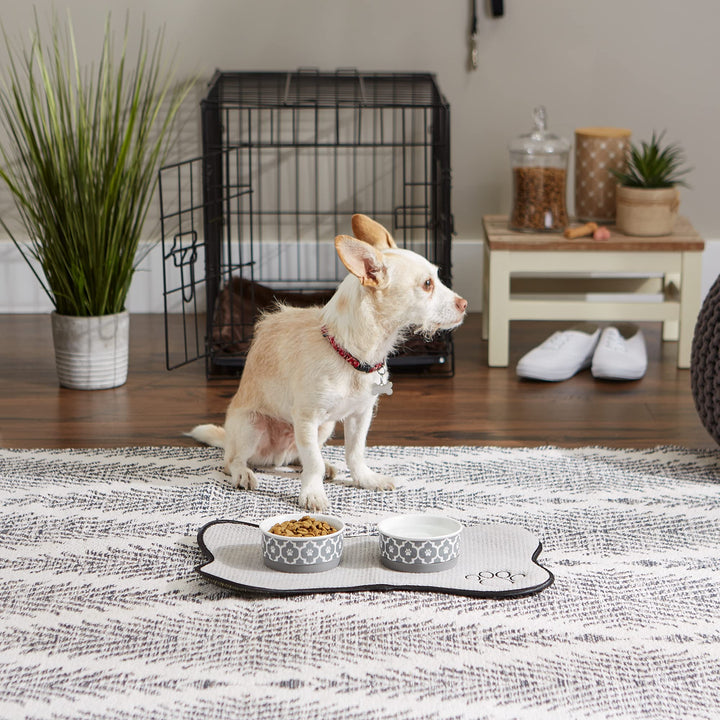 Bone Dry Lattice Pet Bowl, Removable Silicone Ring Creates Non-Slip Bottom for Secure Feeding & Less Mess, Microwave & Dishwasher Safe, Small Set, 4.25x2", Gray, 2 Count