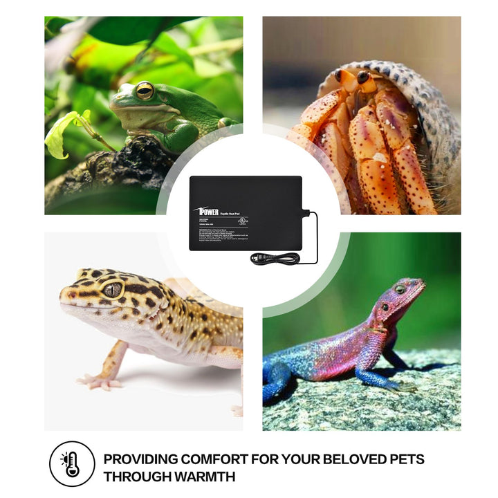 iPower Reptile Heat Pad 8X12 Inch 16W Under Tank Terrarium Warmer Heating Mat for Turtle, Lizard, Frog, Snake, Reptile, and Other Small Animals 8 X 12 Inch