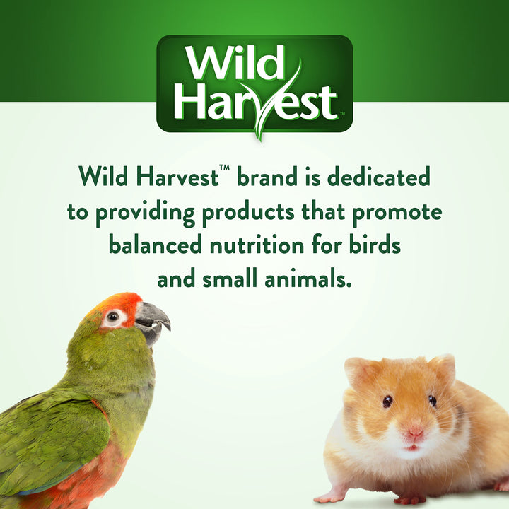 Wild Harvest™ Picnic Party Hut, Artificial Strawberry Flavored House for Pets, 1 Ct.