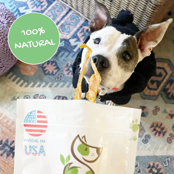 Nature Gnaws - Turkey Tendons for Dogs - Premium Natural Chew Treats - Delicious Reward Snack for Small Medium & Large Dogs - Made in The USA - 1 lb