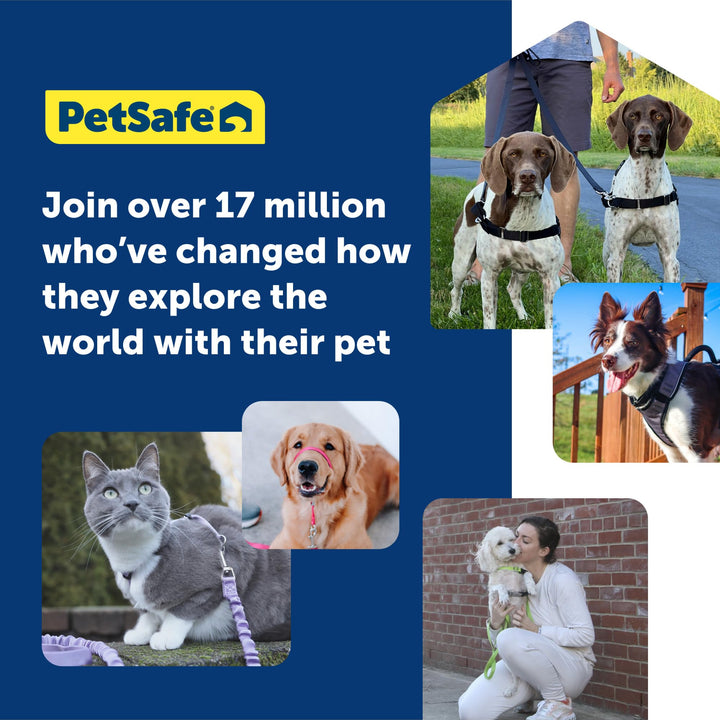 PetSafe Easy Walk No-Pull Dog Harness - The Ultimate Harness to Help Stop Pulling - Take Control & Teach Better Leash Manners - Helps Prevent Pets Pulling on Walks - Medium/Large, Charcoal/Black