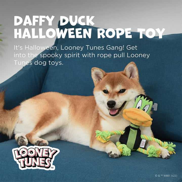 Looney Tunes for Pets Daffy Duck Plush Frankenstein Halloween Rope Pull Dog Toy | Daffy Duck Squeaky Dog Toy | Plush Fabric Dog Chew Toy Rope Toy for Dogs, 9 Inch, (FF16975) Daffy Frankenstein