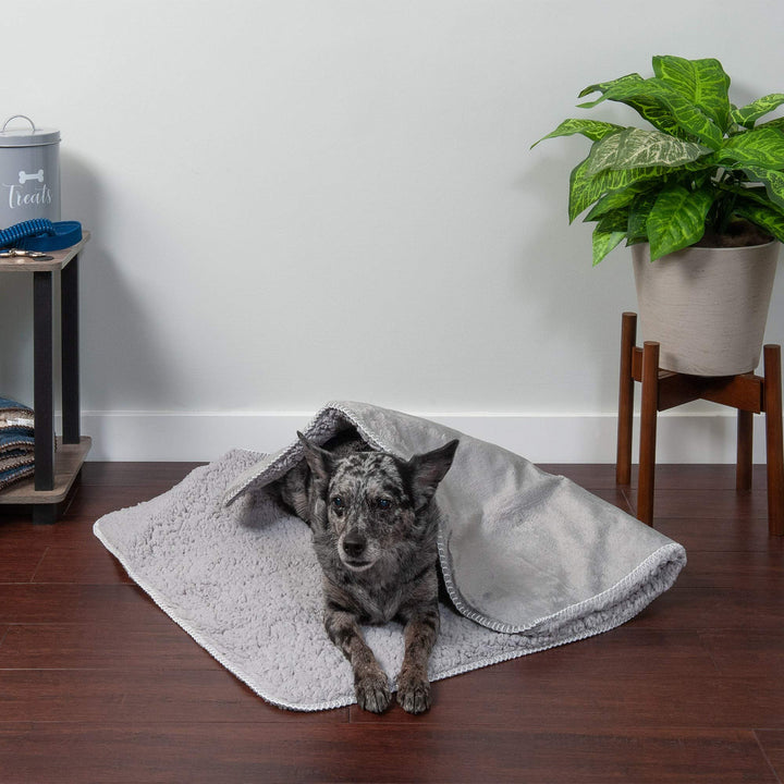 Furhaven Waterproof & Self-Warming Throw Blanket for Dogs & Indoor Cats, Washable & Reflects Body Heat - Terry & Sherpa Dog Blanket - Silver Gray, Medium Blanket - Terry & Sherpa (Silver Gray) 40.0"L x 30.0"W x 0.5"Th Self-Warming & Waterproof