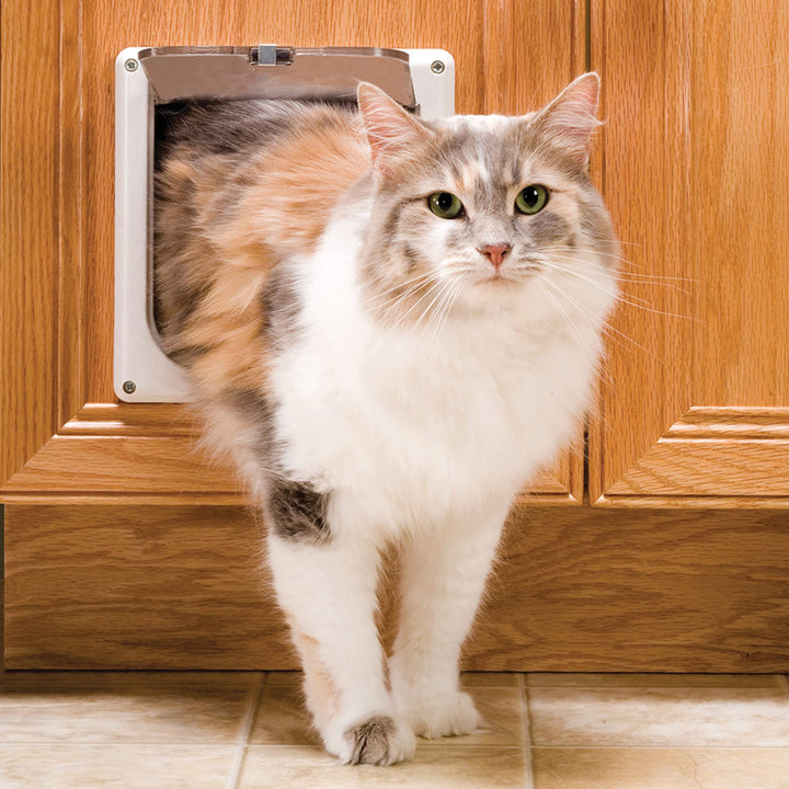 PetSafe Interior Cat Door: 2-Way Locking, Indoor Pet Door Flap - Tinted Privacy Door for Cat Litter Box or Pet Feeder, Built-In Door Lock, Durable Door Frame, DIY Easy Install, Hardware Kit Included, Small, White 2-Way Lock