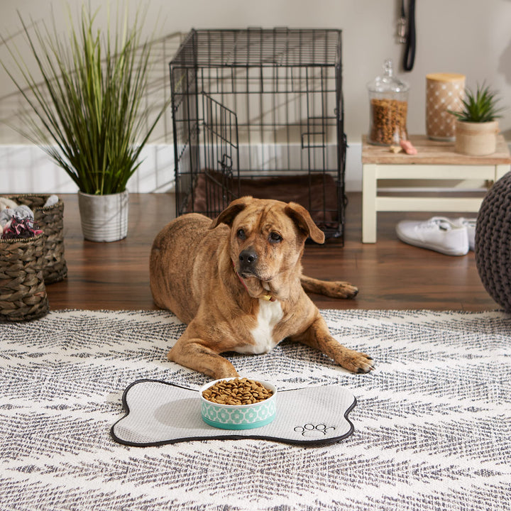 Bone Dry Lattice Collection Pet Bowl & Canister, Medium, 6x2", Aqua Medium, 6x2"