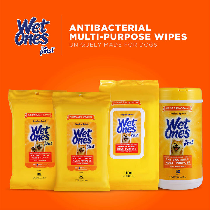 Wet Ones for Pets Multi-Purpose Dog Wipes with Aloe Vera, 30 count - 8 pack | Dog Wipes for All Dogs in Tropical Splash Scent, Wet Ones Wipes with Wet Lock Seal 30 Count (Pack of 8)