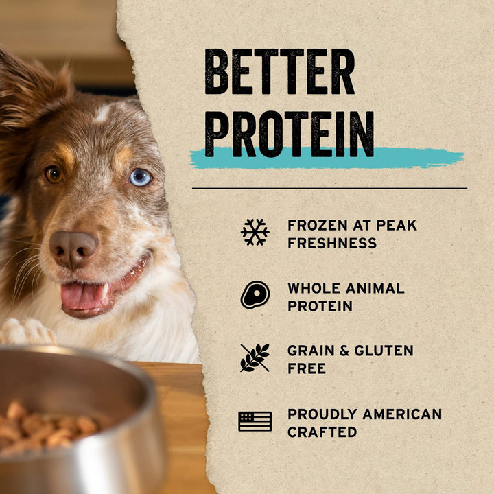 Vital Essentials Freeze Dried Raw Whole Animal Dog Treats, Salmon Bites, 5 oz 5 Ounce (Pack of 1)