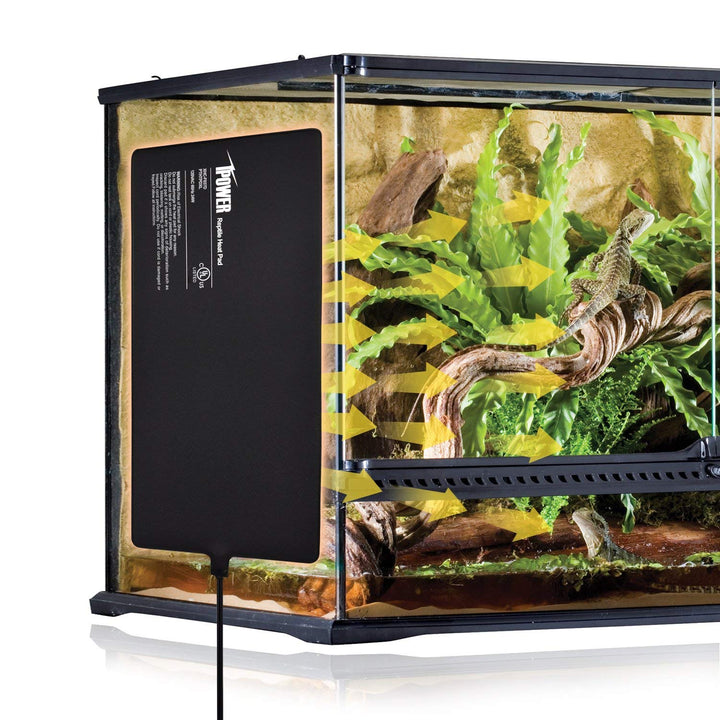 iPower Reptile Heat Pad Under Tank Terrarium Warmer Heating Mat for Turtle, Lizard, Frog, Snake, Reptile, and Other Small Animals, 8X18 Inch, 24W 8 X 18 Inch 1 Pack