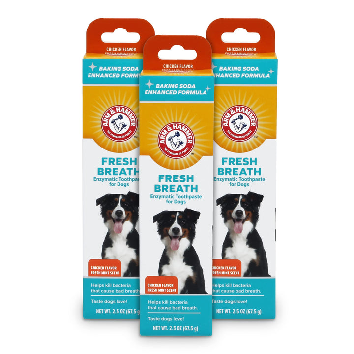 Arm & Hammer for Pets Dental Toothpaste for Dogs | No More Doggie Breath | Safe for All Dogs and Puppies | Chicken Flavor Dog Toothpaste - 3 Pack for Long-Lasting Use Fresh Breath - Chicken 2.5 Ounce (Pack of 3)