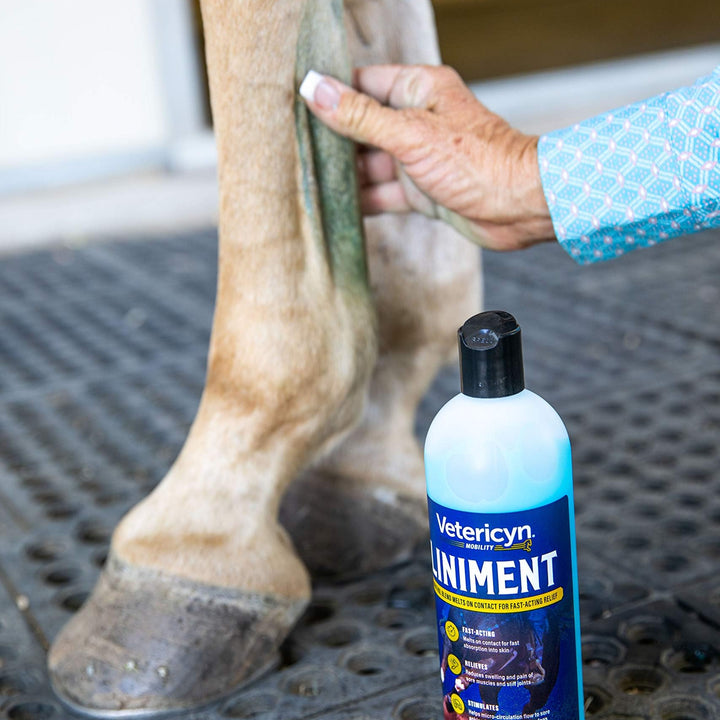 Vetericyn Equine Liniment for Fast-Acting Relief of Muscles and Joints  Menthol-Based Topical Analgesic for Horses  16 Ounces,Blue