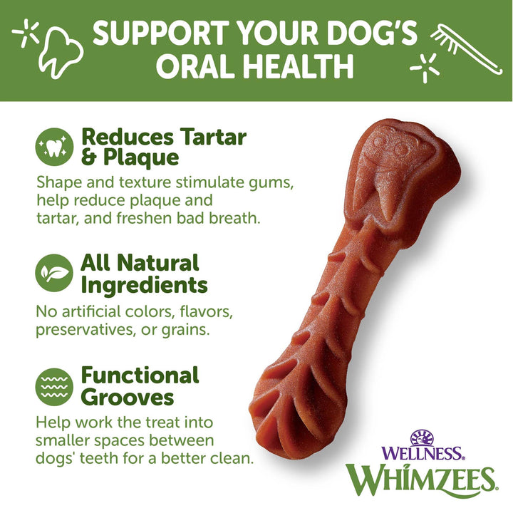 WHIMZEES Wellness Brushzees Natural Grain Free Dental Dog Treats, Small Breed, 14 Count Dental Small 14 Count (Pack of 1)