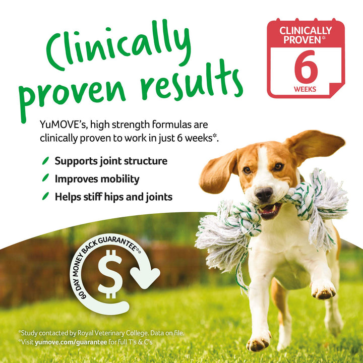 YuMOVE Daily Chews | Hip and Joint Supplement for Large & X Large Dogs with Glucosamine, Hyaluronic Acid, Green Lipped Mussel | 60 Chews - 1 Month's Supply