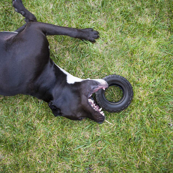 Mammoth TireBiterII  Natural Rubber Dog Toys for Extreme Chewers  Dog Toys for Extra Long Interactive Play  Aggressive Chewer Toys for Large - X-Large Dogs - X-Large 7