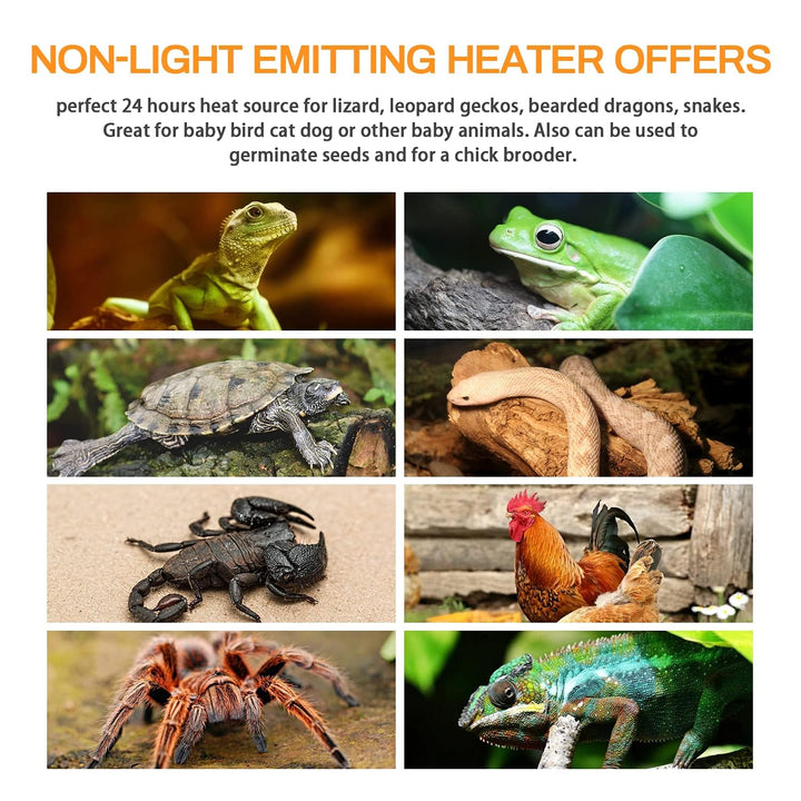 Simple Deluxe 100W Ceramic Heat Lamp Reptile Heat Emitter Heater Lamp Bulb No Light with Free Digital-Thermometer, for Pet Brooder Coop Chicken, Dragon Turtle Lizard Snake Aquarium Tank Black