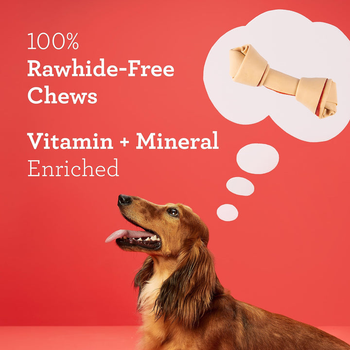 DreamBone Vegetable & Chicken Dog Chews, Rawhide Free, Small, 10-Count (DBC-02029) 10 Count (Pack of 1)