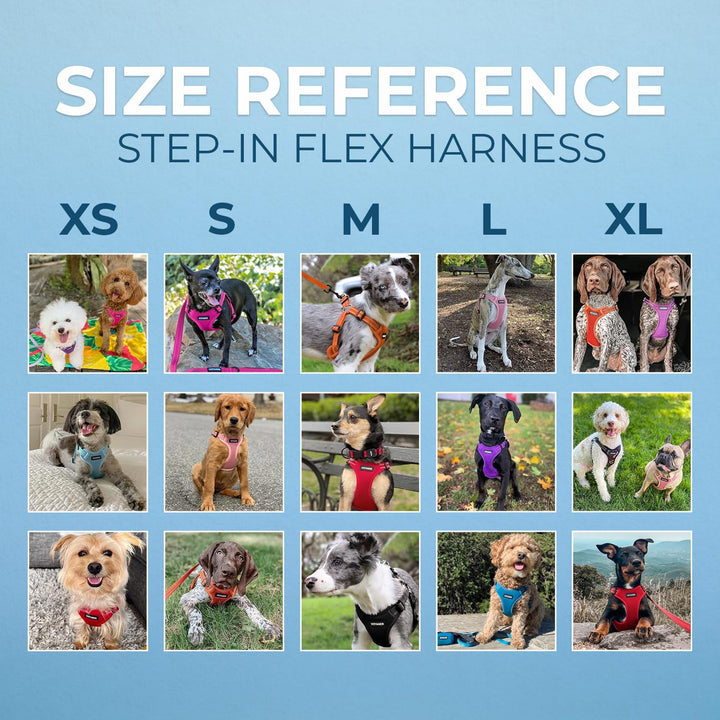 Best Pet Supplies Voyager Adjustable Dog Harness with Reflective Stripes for Walking, Jogging, Heavy-Duty Full Body No Pull Vest with Leash D-Ring, Breathable All-Weather - Harness (Baby Blue), S Harness (Baby Blue) S (Chest: 15 - 18")