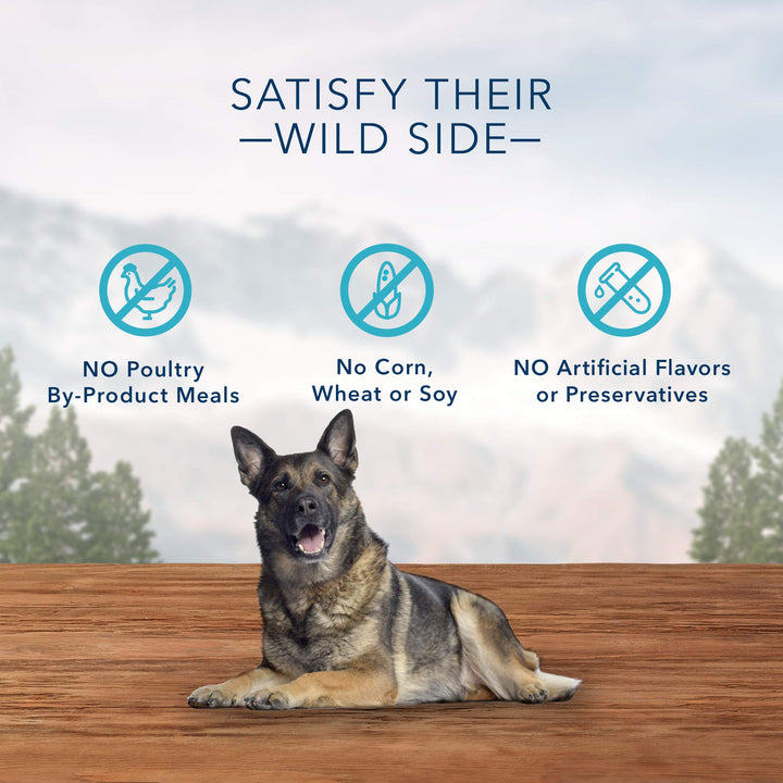 Blue Buffalo Wilderness Wild Bones Grain Free Dental Chews Dog Treats, Large 27-oz Bag Large Bones (For Dogs 50+ lbs) 27 Ounce (Pack of 1)