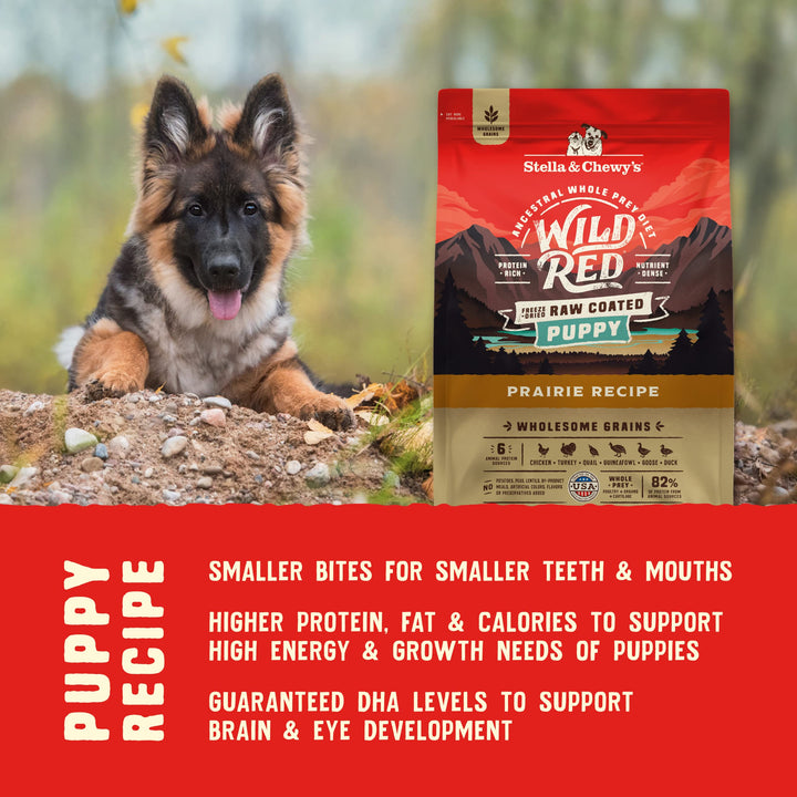 Stella & Chewy's Wild Red Dry Dog Food Raw Coated High Protein Wholesome Grains Puppy Prairie Recipe, 3.5 lb. Bag 3.5 Pound (Pack of 1)