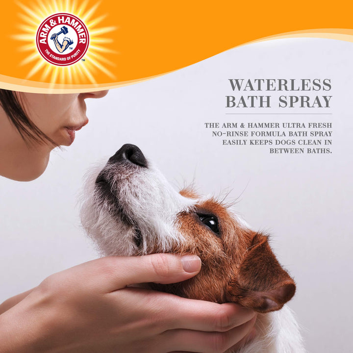 Arm & Hammer for Pets Ultra Fresh Dog Deodorizing Foam, Juniper Mist Scent - No Rinse Waterless Dog Shampoo for Smelly Dogs, Pet Deodorizer, Bathing Supplies, 8 Fl Oz No-Rinse Deodorizing Foam for Dogs 8 Fl Oz (Pack of 1)