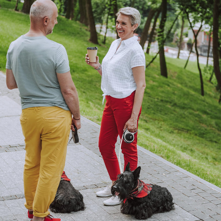 FLEXI New Comfort Retractable Dog Leash (Tape), Ergonomic, Durable and Tangle Free Pet Walking Leash for Dogs Up to 26 lbs, 10 ft, Extra Small, Grey/Black Black X-Small - 10 Feet