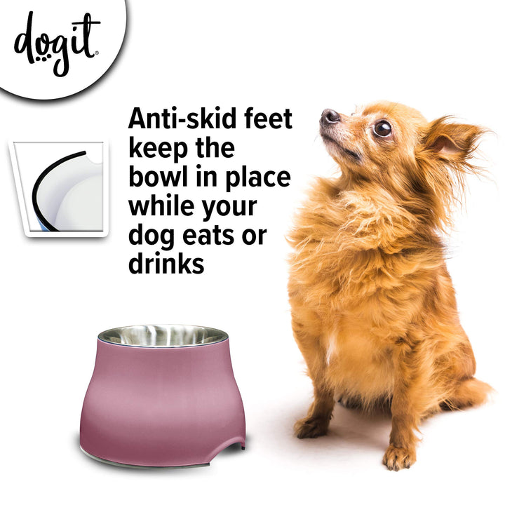 Dogit Elevated Dog Bowl, Stainless Steel Dog Food and Water Bowl for Small Dogs, Pink, 73742