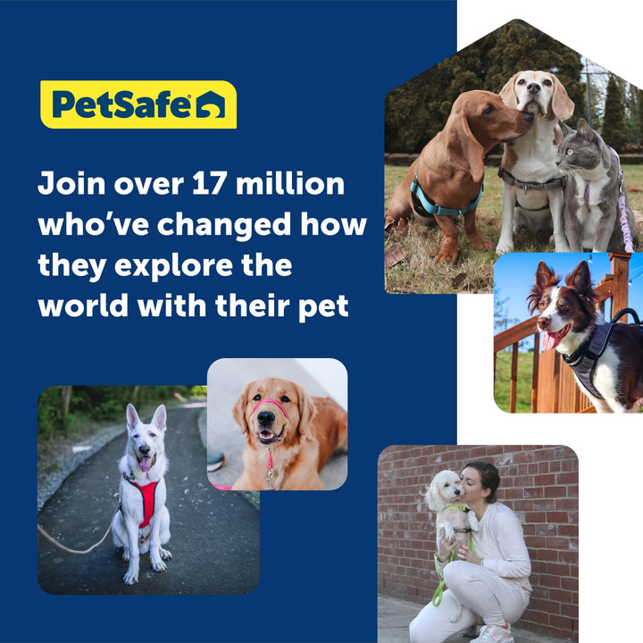 PetSafe Gentle Leader No-Pull Dog Headcollar - The Ultimate Solution to Pulling - Redirects Your Dog's Pulling For Easier Walks - Helps You Regain Control - Large, Royal Blue