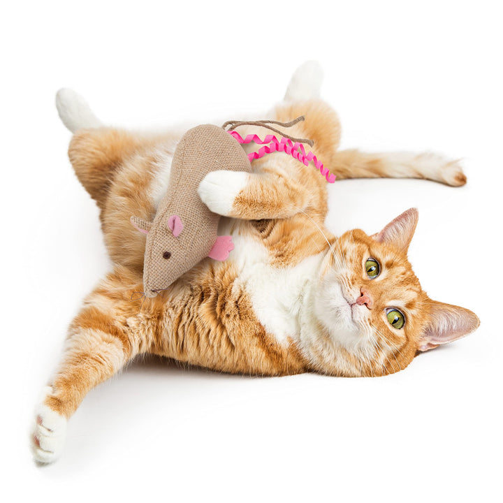 Petlinks Jeepers Creepers Refillable Kicker Cat Toy with Catnip Tube - Randomly Selected Color, One Size Set of 1 Jeepers Creepers (Randomly Selected Color)