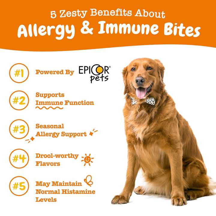 Zesty Paws Dog Allergy Relief - Anti Itch Supplement - Omega 3 Probiotics for Dogs - Salmon Oil Digestive Health - Soft Chews for Skin & Seasonal Allergies - With Epicor Pets - PB - 90 count Peanut Butter