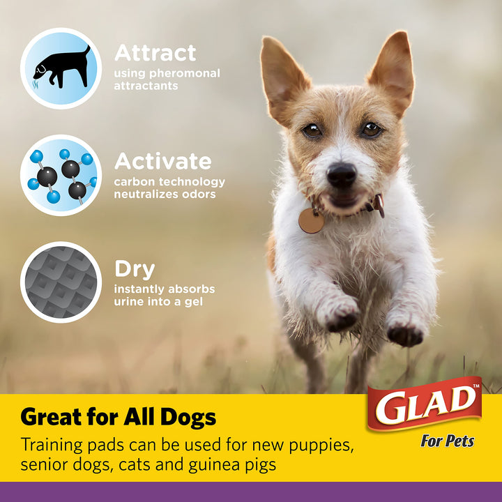 Glad for Pets JUMBO-SIZE Charcoal Puppy Pads | Black Training Pads That ABSORB & Neutralize Urine Instantly | New & Improved Quality Puppy Pee Pads, 30 Count Dog Training Pads