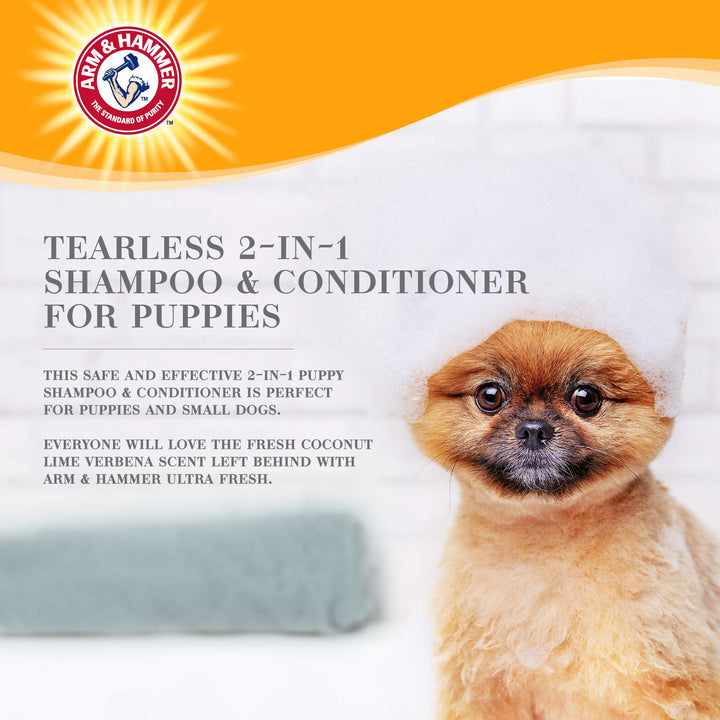 Arm & Hammer for Pets Ultra Fresh Dog Deodorizing Foam, Juniper Mist Scent - No Rinse Waterless Dog Shampoo for Smelly Dogs, Pet Deodorizer, Bathing Supplies, 8 Fl Oz No-Rinse Deodorizing Foam for Dogs 8 Fl Oz (Pack of 1)